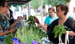 A volunteer hands a woman vegetables.