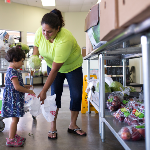 Dillard's Shop for a Cause Register Campaign and Food Drive - Roadrunner  Food Bank